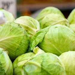 Λευκά Λάχανα με το κιλό