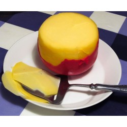 Τυρί Ημίσκληρο Light, Edam