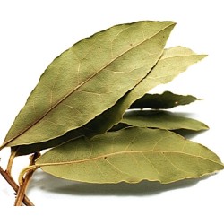Δάφνη σε φύλλα, συσκ. 1kg